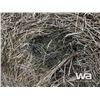 Image 5 : (16+/-) 2023 HAY BALES