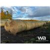 Image 2 : (20+/-) 2023 HAY BALES