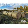 Image 3 : (20+/-) 2023 HAY BALES