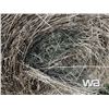 Image 5 : (20+/-) 2023 HAY BALES