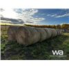 Image 2 : (18+/-) 2023 HAY BALES