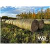 Image 3 : (18+/-) 2023 HAY BALES