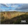 Image 4 : (18+/-) 2023 HAY BALES