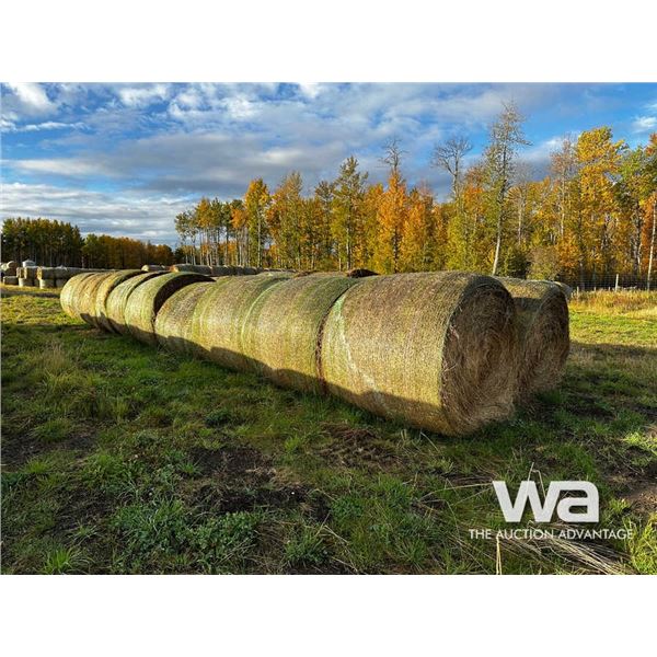 (20+/-) 2023 HAY BALES