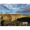 Image 2 : (20+/-) 2023 HAY BALES