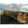 Image 3 : (20+/-) 2023 HAY BALES