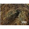 Image 6 : (20+/-) 2023 HAY BALES