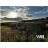 Image 3 : (20+/-) 2023 HAY BALES