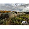 Image 4 : (20+/-) 2023 HAY BALES