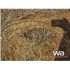 Image 5 : (20+/-) 2023 HAY BALES