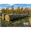 Image 2 : (20+/-) 2023 HAY BALES