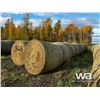 Image 2 : (20+/-) 2023 HAY BALES