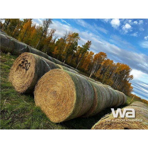 (20+/-) 2023 HAY BALES