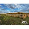 Image 2 : (20+/-) 2023 HAY BALES