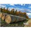 Image 2 : (20+/-) 2023 HAY BALES