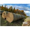 Image 2 : (20+/-) 2023 HAY BALES