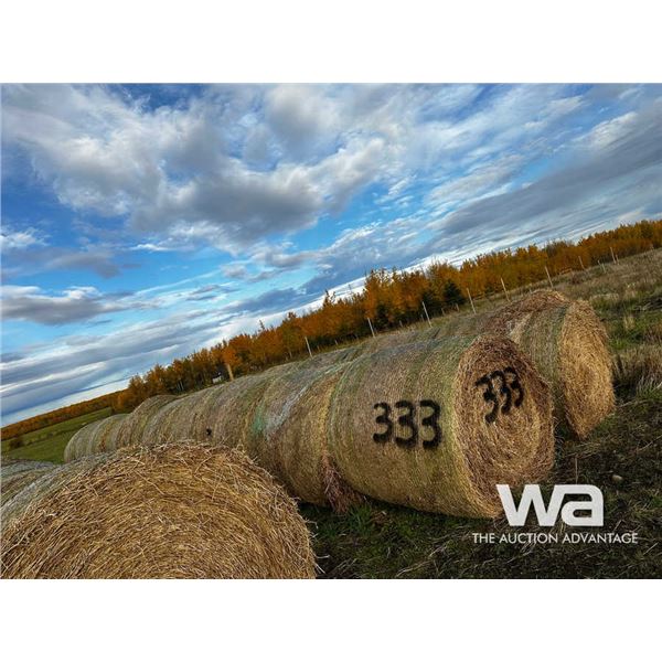 (20+/-) 2023 HAY BALES