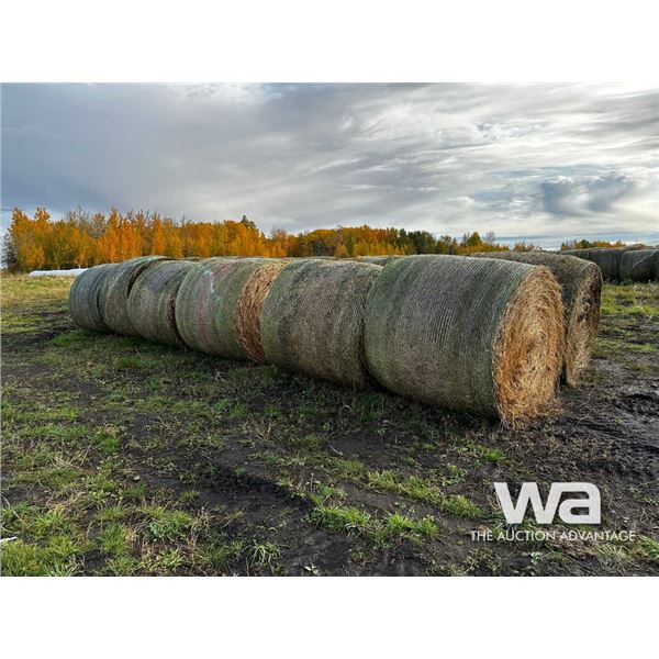 (12+/-) 2023 HAY BALES
