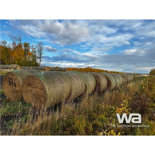 (40+/-) 2023 HAY BALES