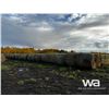 Image 2 : (40+/-) 2023 HAY BALES