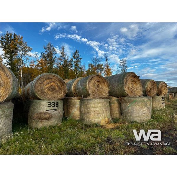 (140+/-) 2022 FESCUE BALES