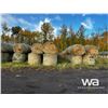 Image 3 : (140+/-) 2022 FESCUE BALES