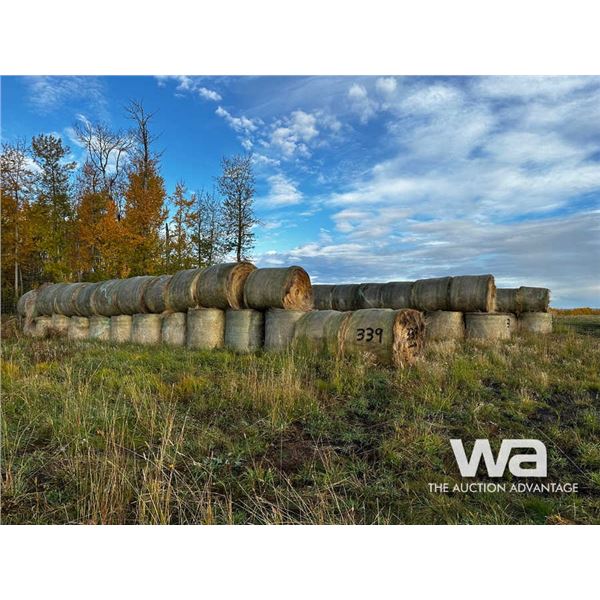 (80+/-) 2022 FESCUE BALES