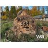Image 4 : (80+/-) 2022 FESCUE BALES