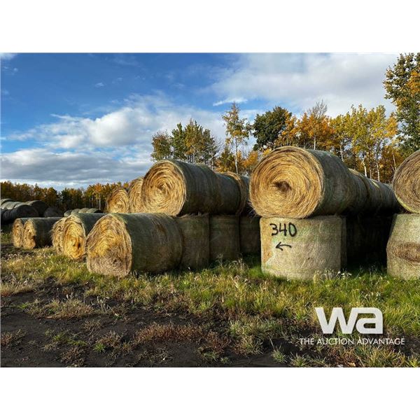 (135+/-) 2022 FESCUE BALES