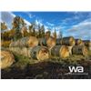 Image 2 : (135+/-) 2022 FESCUE BALES