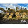 Image 3 : (135+/-) 2022 FESCUE BALES