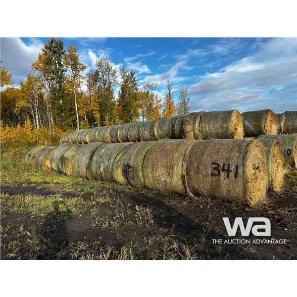 (20+/-) 2023 HAY BALES