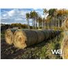 Image 2 : (20+/-) 2023 HAY BALES