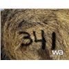 Image 3 : (20+/-) 2023 HAY BALES