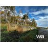 Image 2 : (20+/-) 2022 HAY BALES