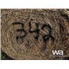 Image 3 : (20+/-) 2022 HAY BALES