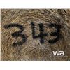 Image 3 : (40+/-) 2022 HAY BALES