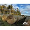 Image 2 : (40+/-) 2022 HAY BALES