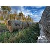 Image 2 : (40+/-) 2022 HAY BALES