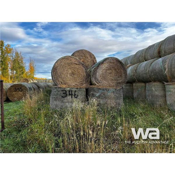 (100+/-) 2022 PEA, WHEAT, FESCUE BALES
