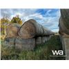 Image 2 : (100+/-) 2022 PEA, WHEAT, FESCUE BALES