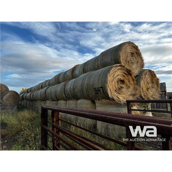 (140+/-) 2022 WHEAT, FESCUE BALES