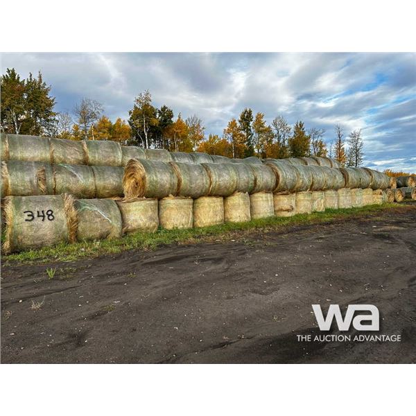 (30+/-) 2022 FESCUE BALES