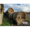 Image 3 : (30+/-) 2022 FESCUE BALES