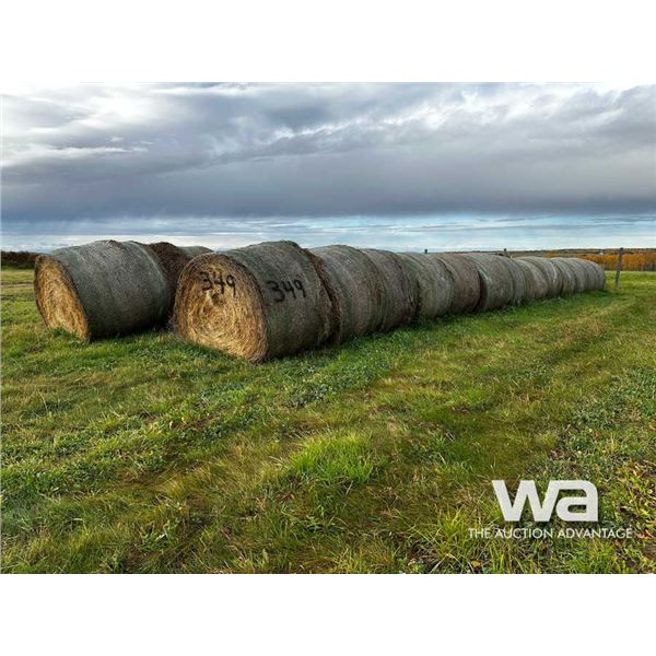 (25+/-) 2022 FESCUE BALES
