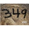 Image 3 : (25+/-) 2022 FESCUE BALES