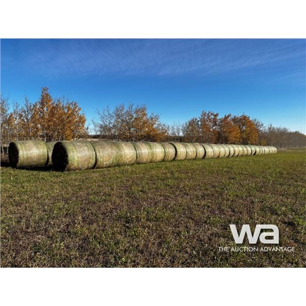 (55+/-) 2023 HAY BALES
