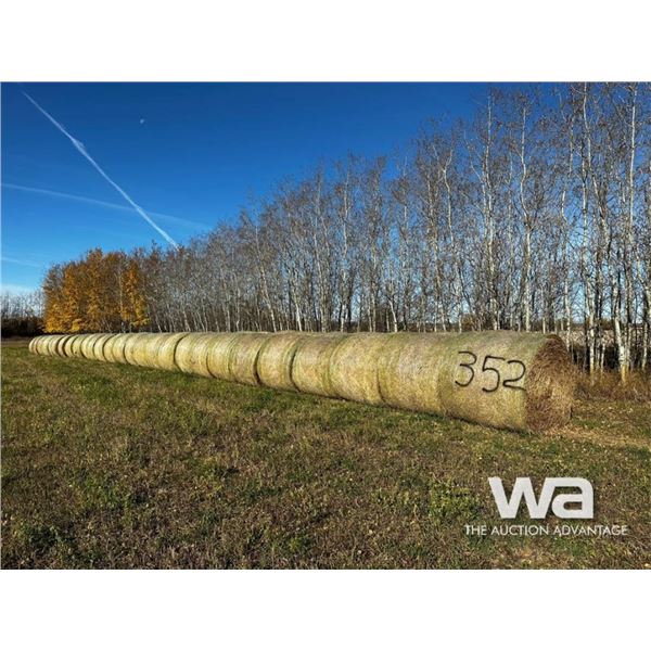 (55+/-) 2023 HAY BALES