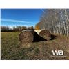 Image 2 : (55+/-) 2023 HAY BALES
