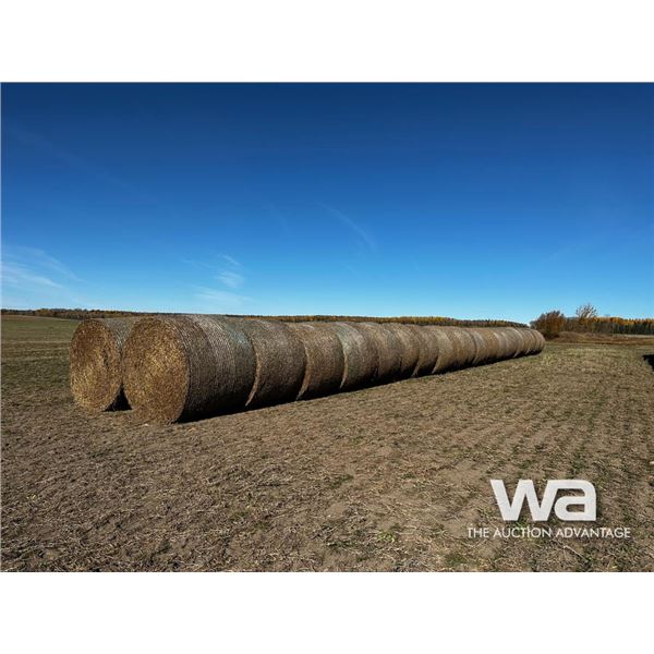 (40+/-) PEA STRAW BALES